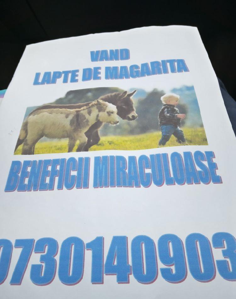 lapte de magarita