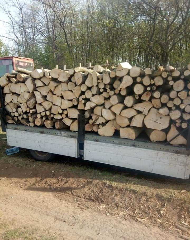 Lemn de foc . Lemne de foc
