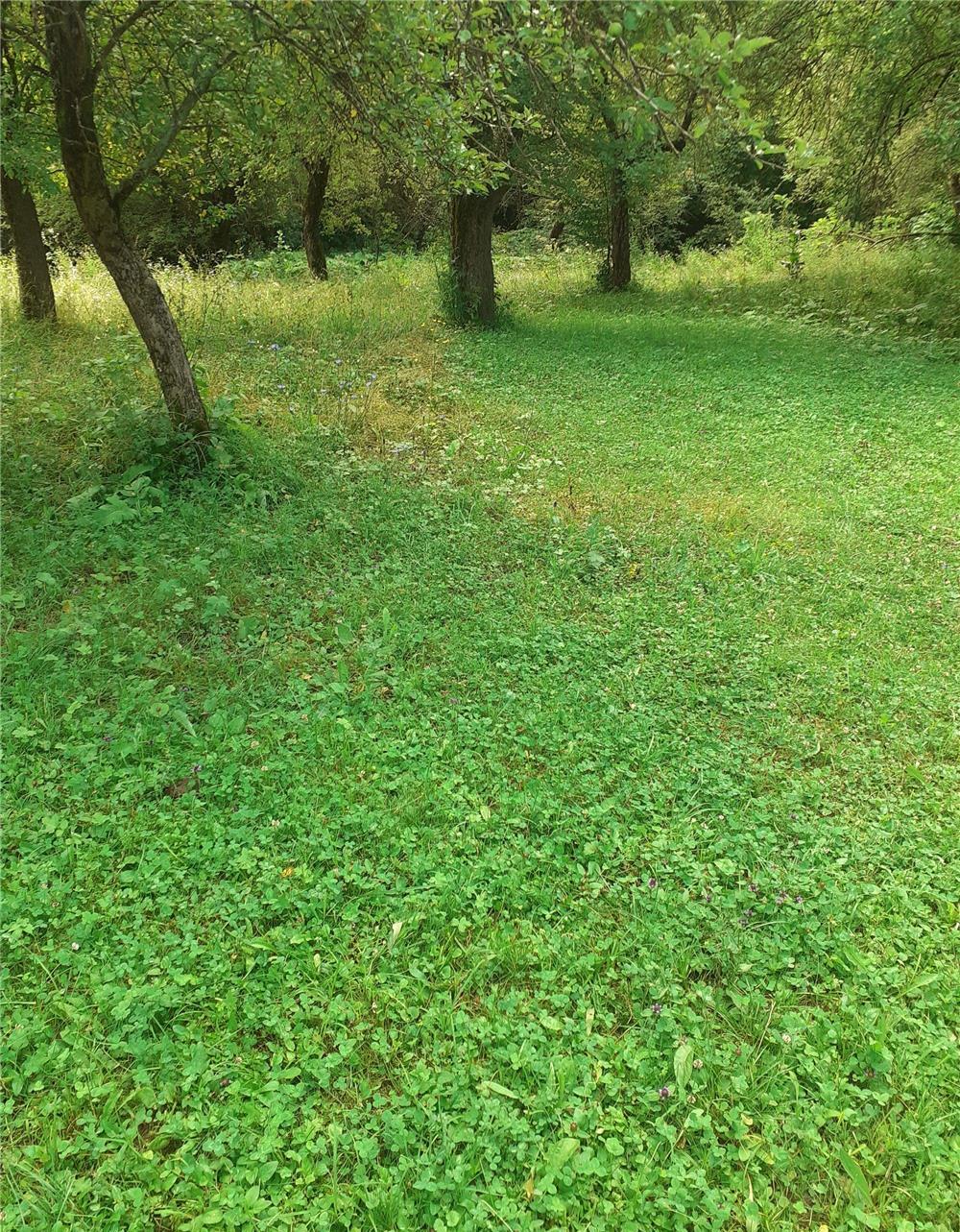 LOC DE CASA PITORESC