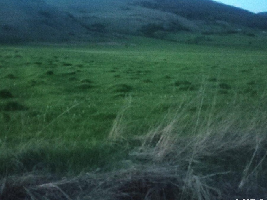 Loc de casa Teren 6000 mp intre Chimindia si Harau