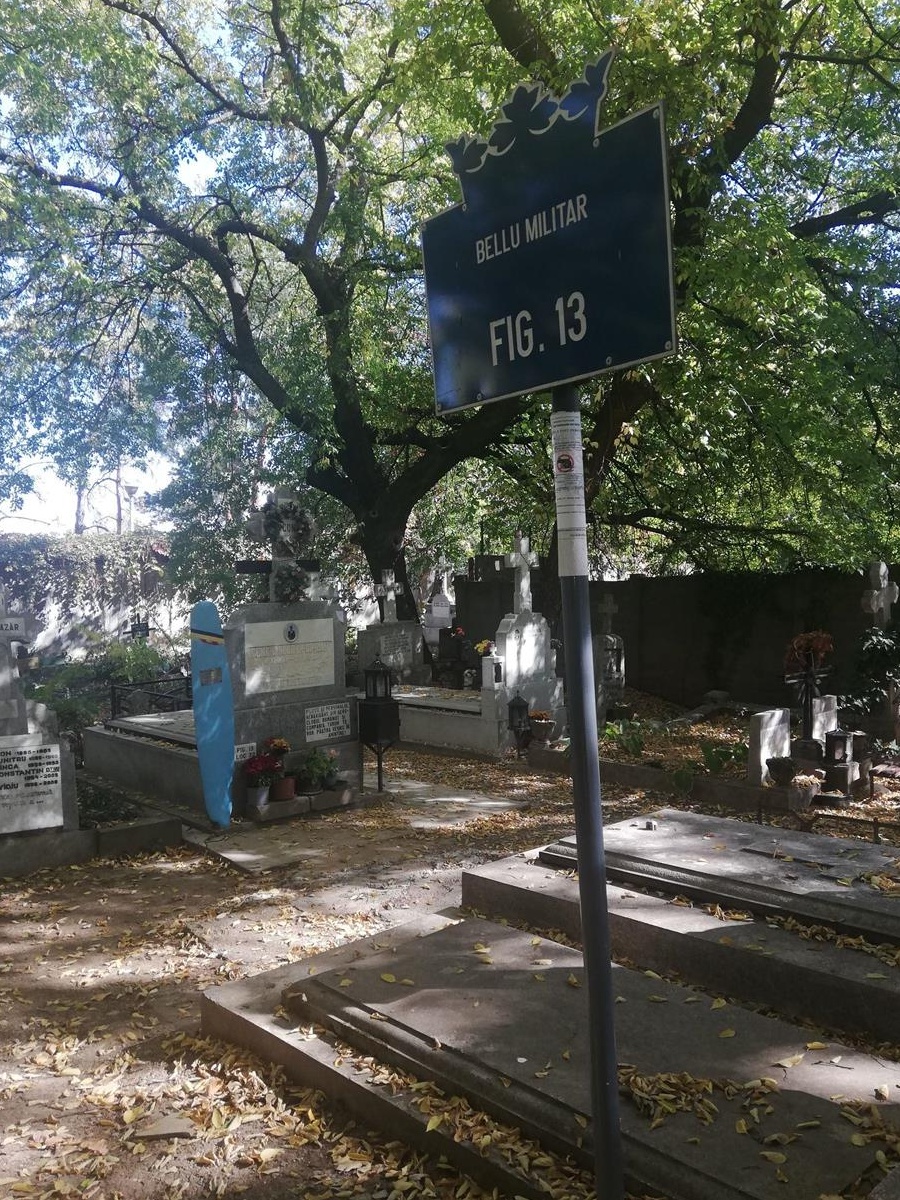loc de veci