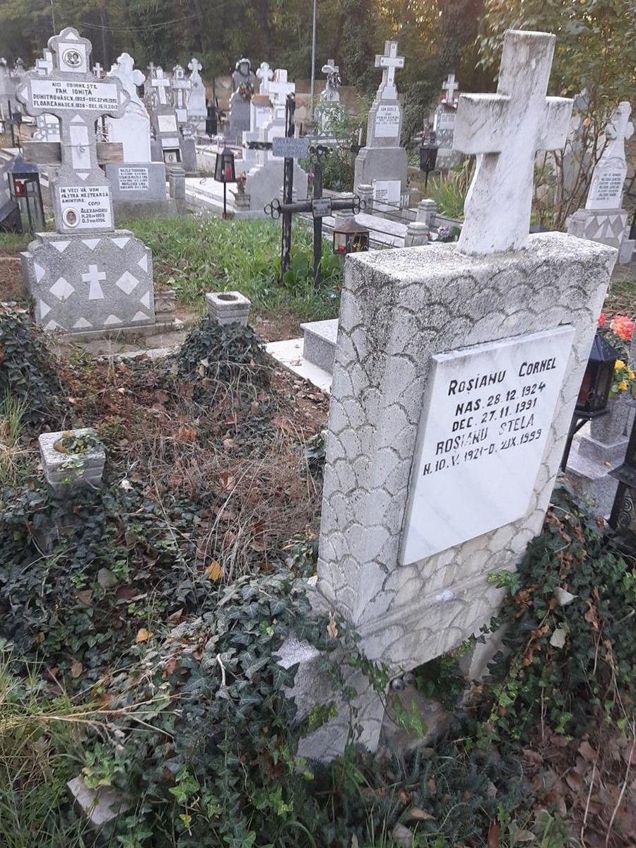 Loc de veci cimitirul Viisoara