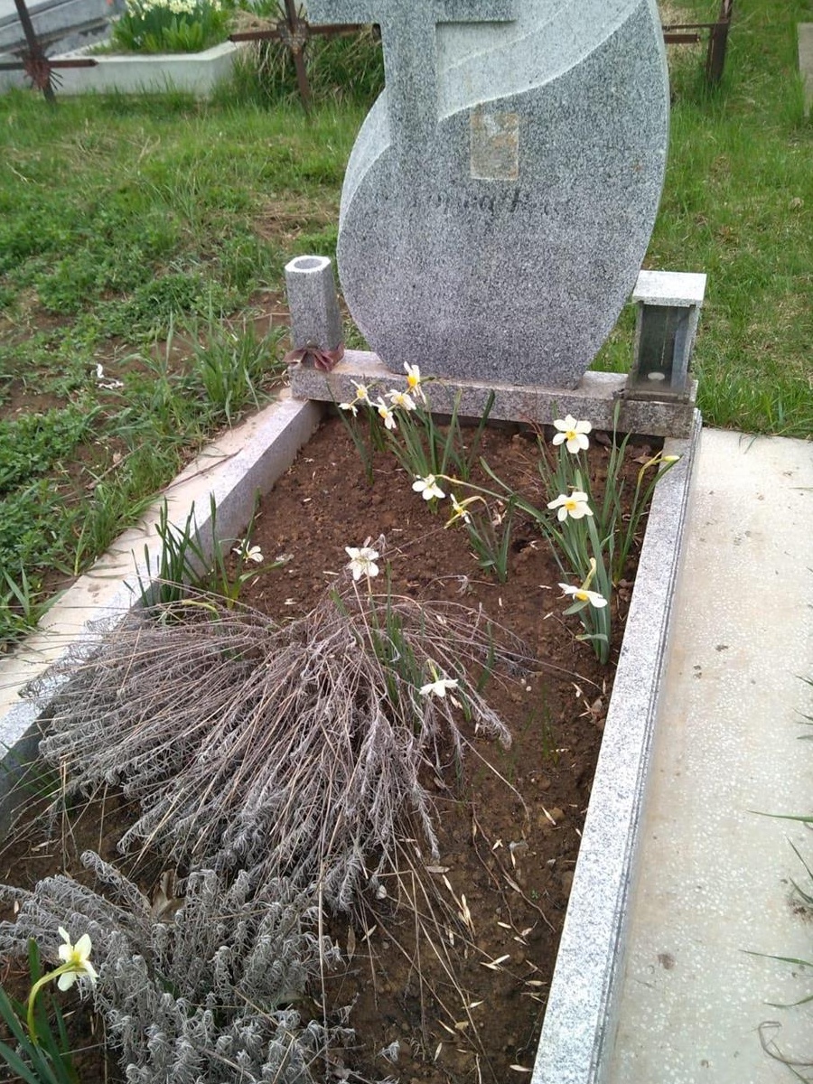 Loc de veci in Cimitirul Sf. Vasile Iasi