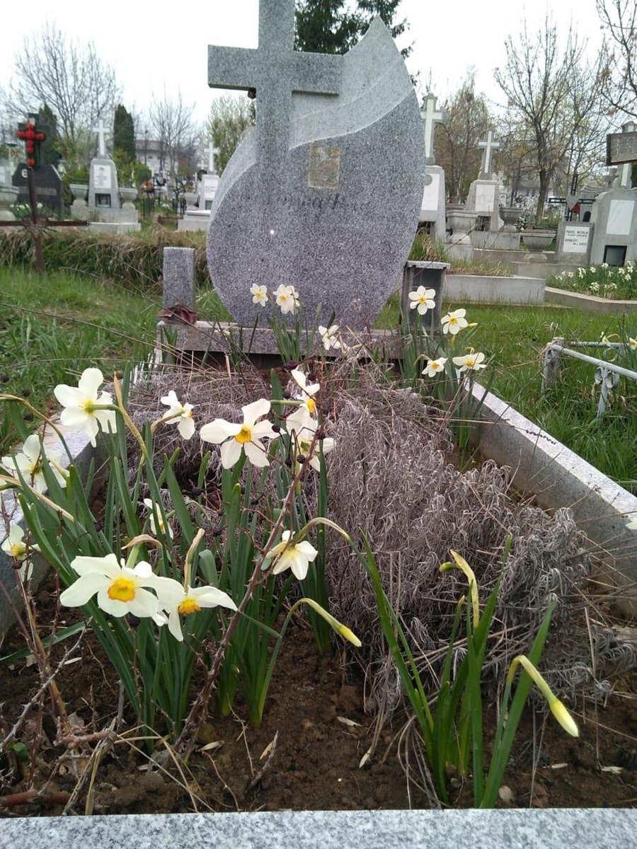 Loc de veci in Cimitirul Sf. Vasile Iasi