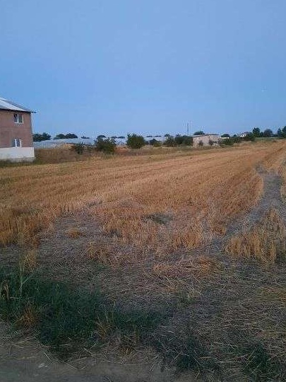 Loturi 400 mp Berceni intrare Dobreni