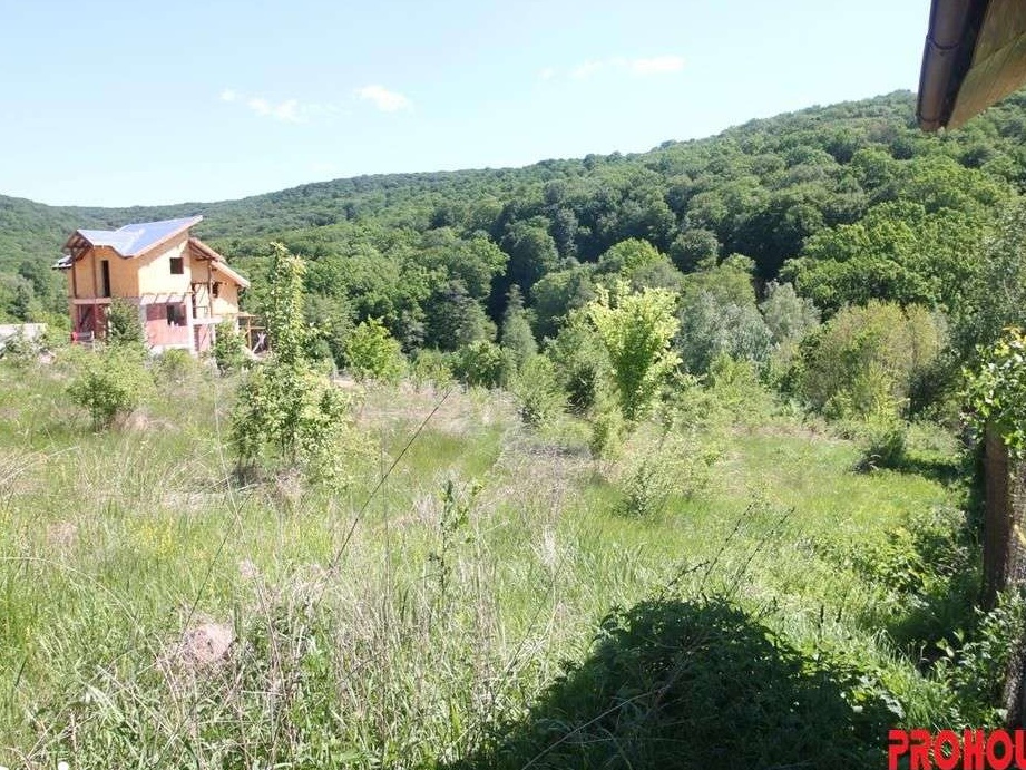 Luncani, intravilan, 5400mp, deschidere 35ml, retea electrica, retea d