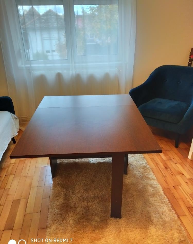 Masa extensibila
