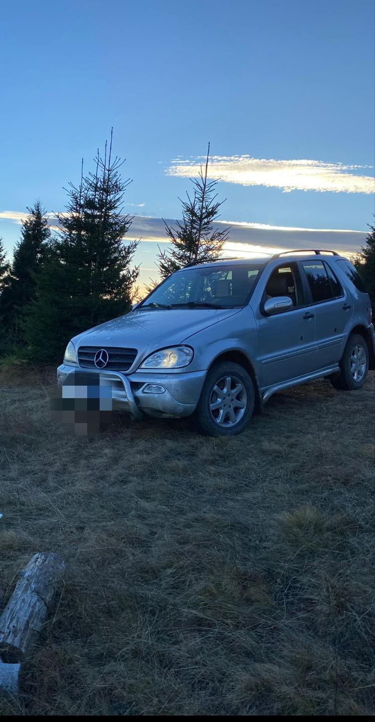 Mercedes ML w163