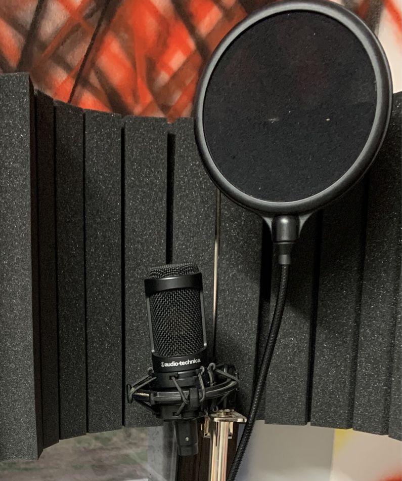 Microfon Audio-Technica AT 2050 + mixer