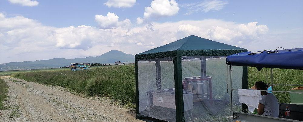 Miere de albine salcâm, polifloră, rapita