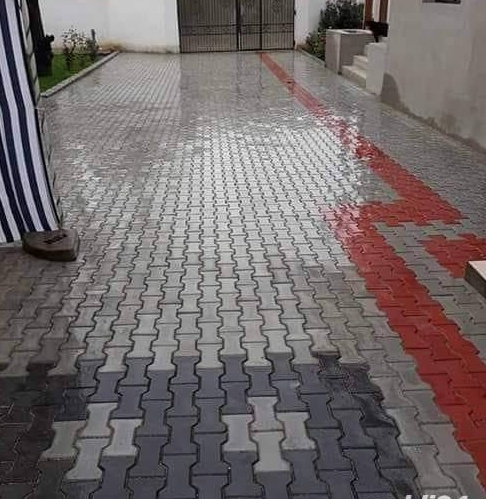 Montaj pavele