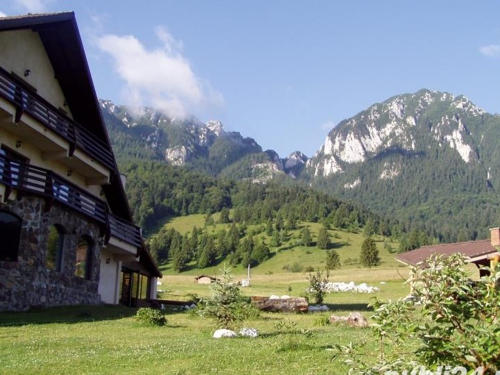 Motel Zarnesti
