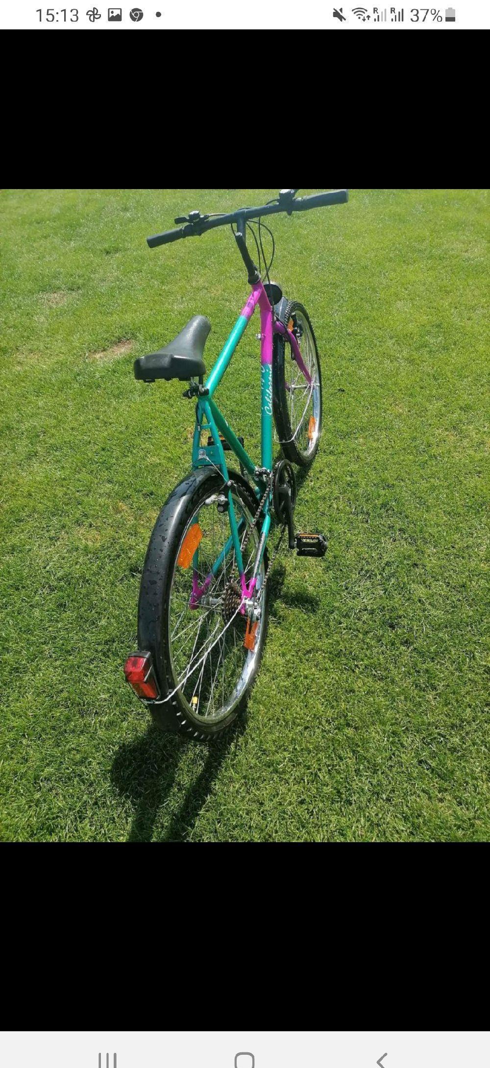MTB California 26 zoll'18 viteze