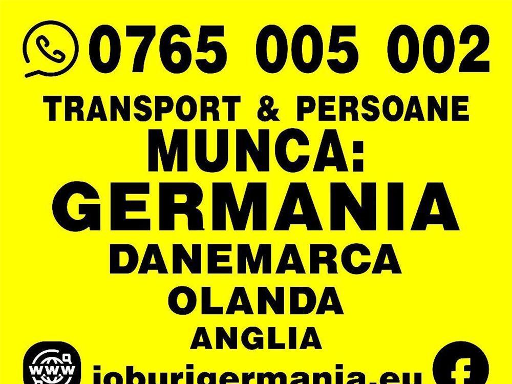 Muncitori Fabrici  Olanda