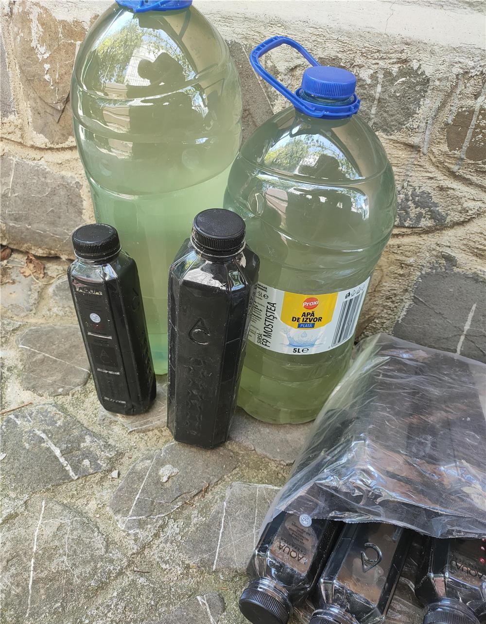 Namol de Tekirghiol