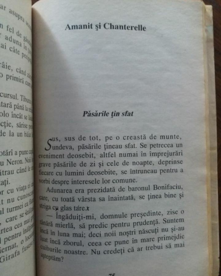 Nebunatica Pisica Gus de Christian Pineau