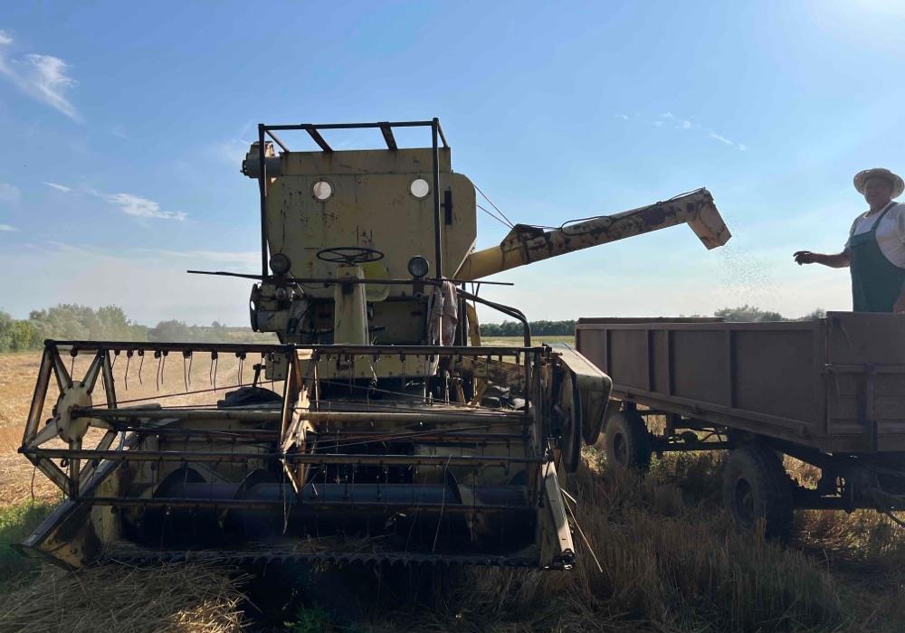 New holland Clayson