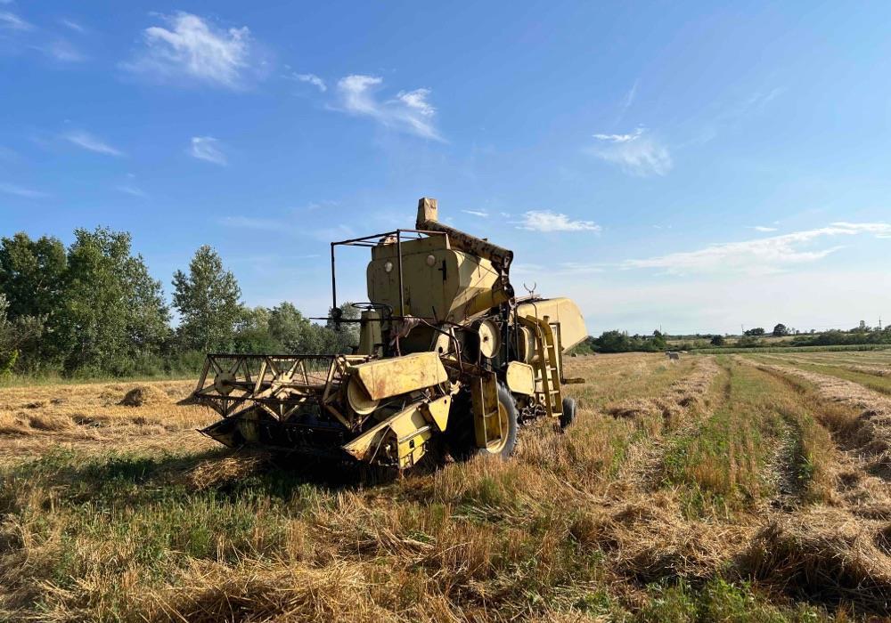 New holland Clayson
