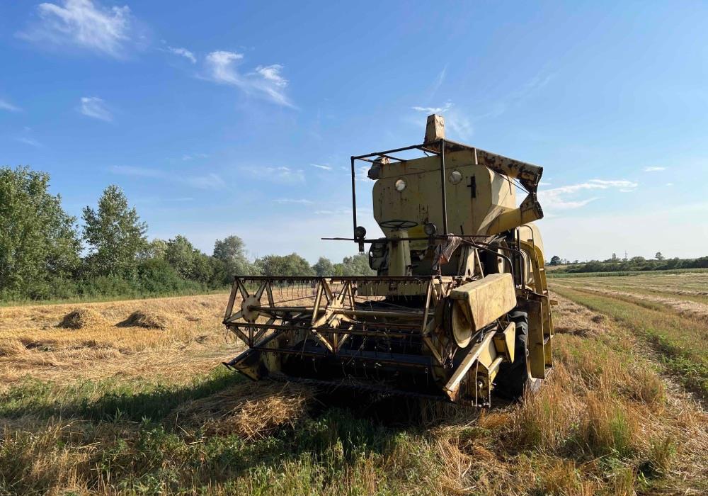 New holland Clayson