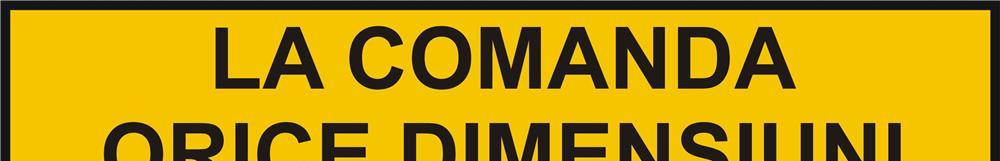 Numere inregistrare vehicule pentru care nu exista obligatia înmatricularii
