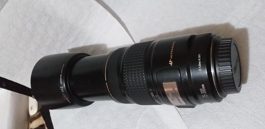 Obiectiv Canon 75-300 ef