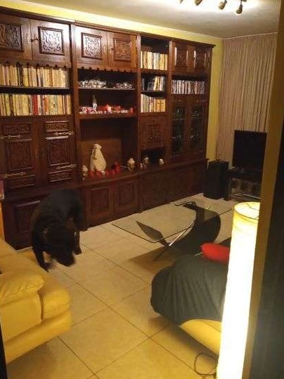 (ocazie) Apartament cu 3 camere! Decomandat! ... Apărătorii Patriei!