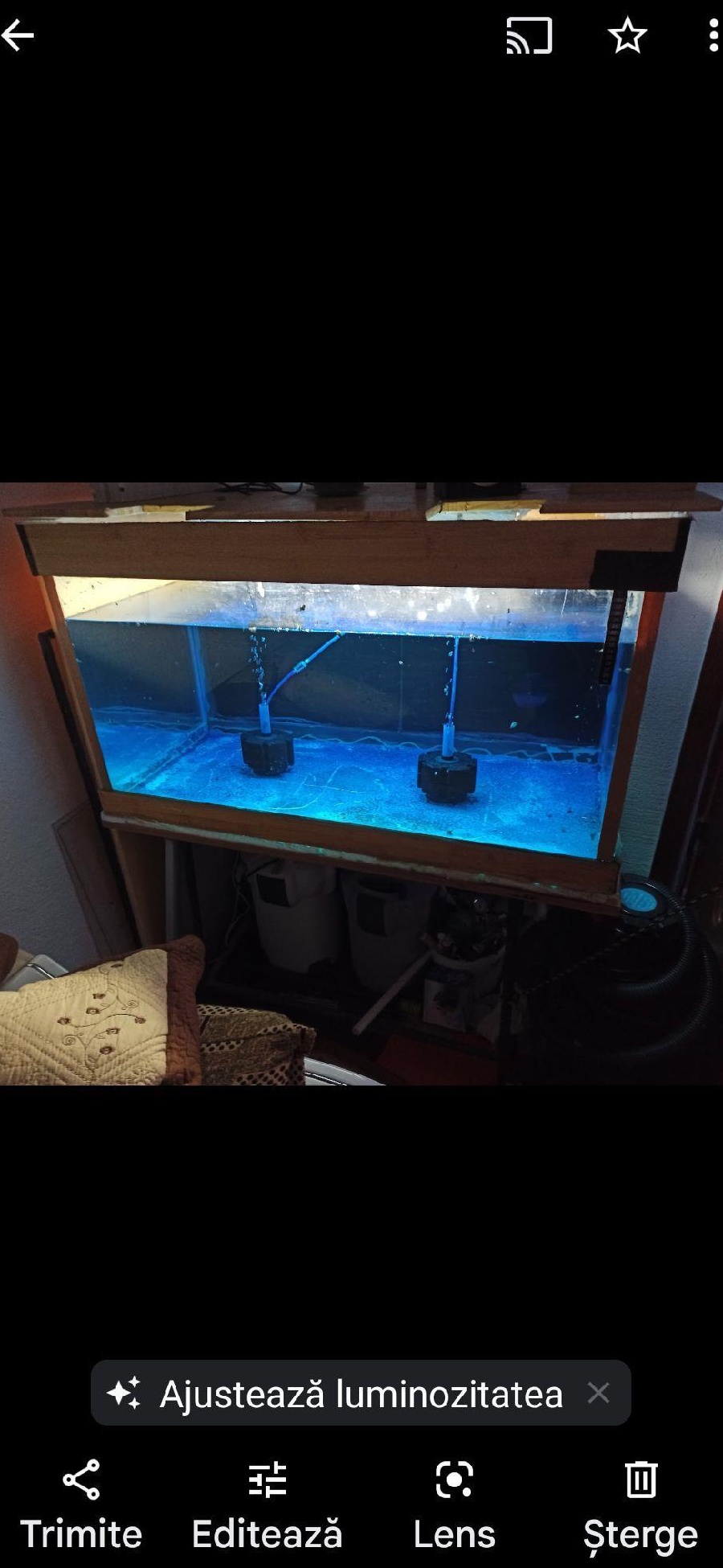 oferta Acvariu mare
