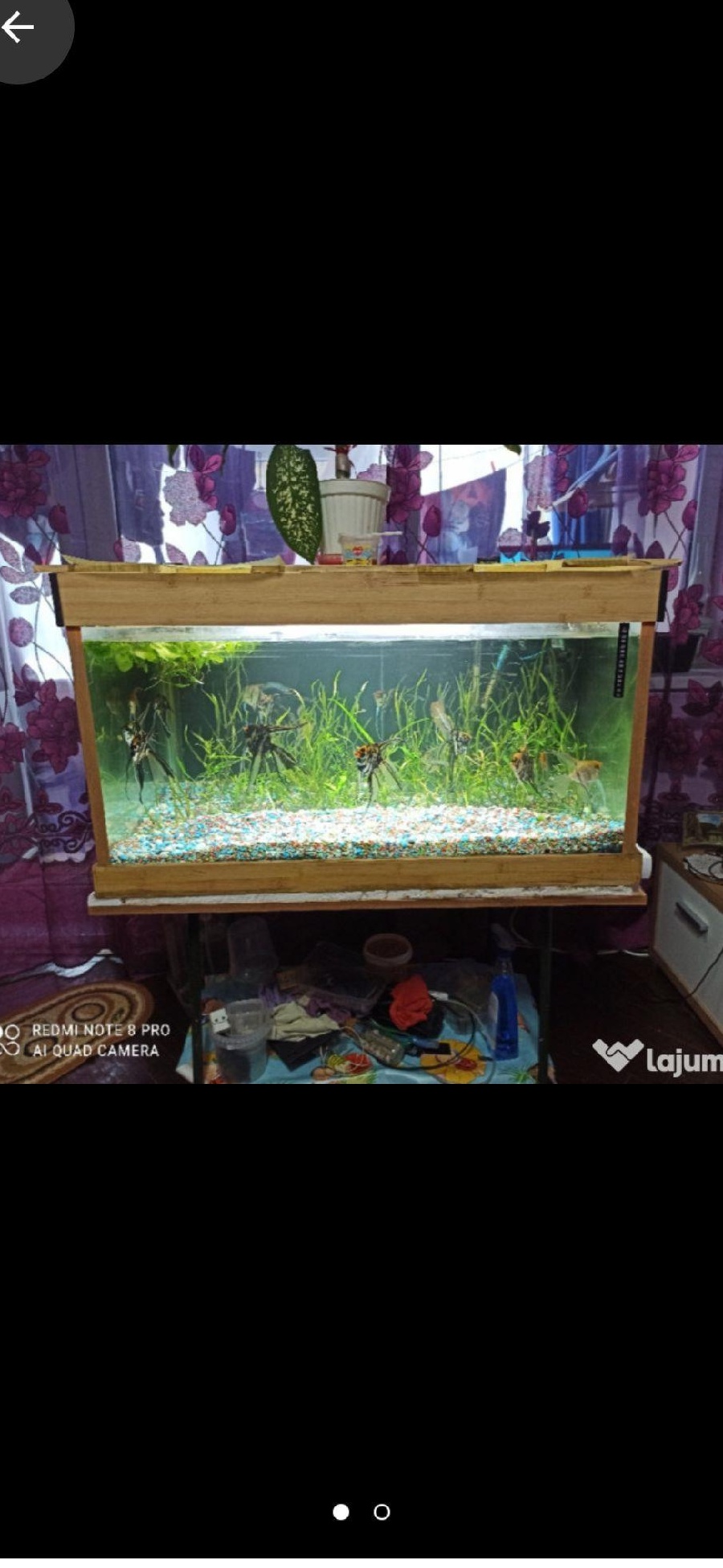 oferta Acvariu mare