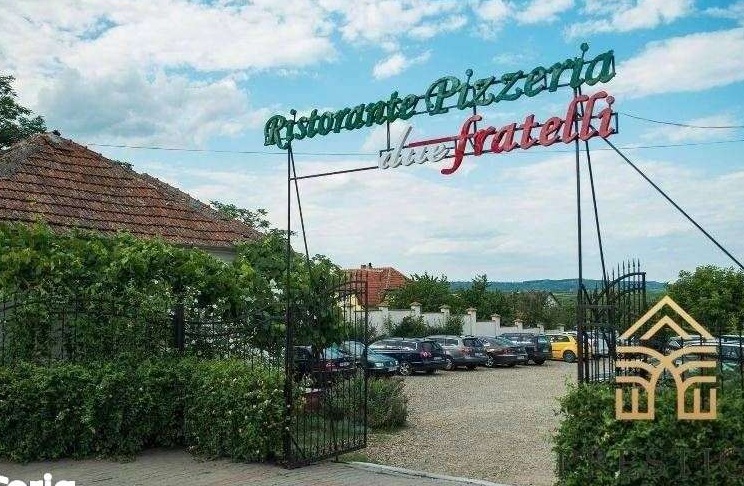Oportunitate de investitie!Domeniu comercial de vanzare in Sanmartin