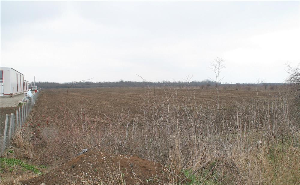 OTOPENI, 35.500 mp. teren ideal dezvoltare imobiliara, posibil inca 30.400 mp