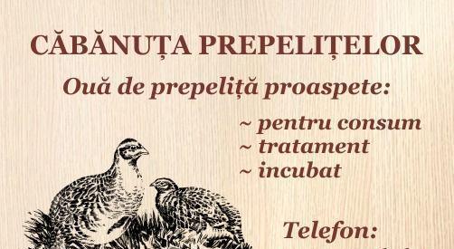 Ouă prepeliță consum
