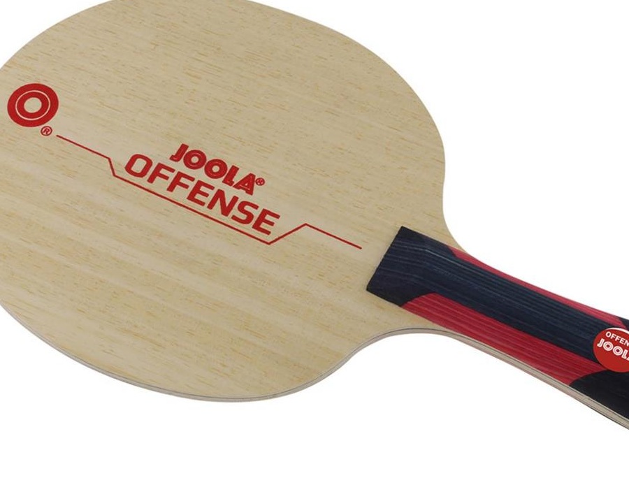 Paleta profesionala Joola Vizon + Offence