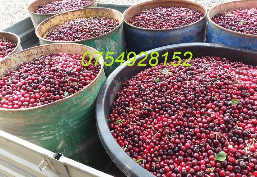 Palinca de:pere,mere,prune,caise,cirese,cirese amare,gutui,capsuni,