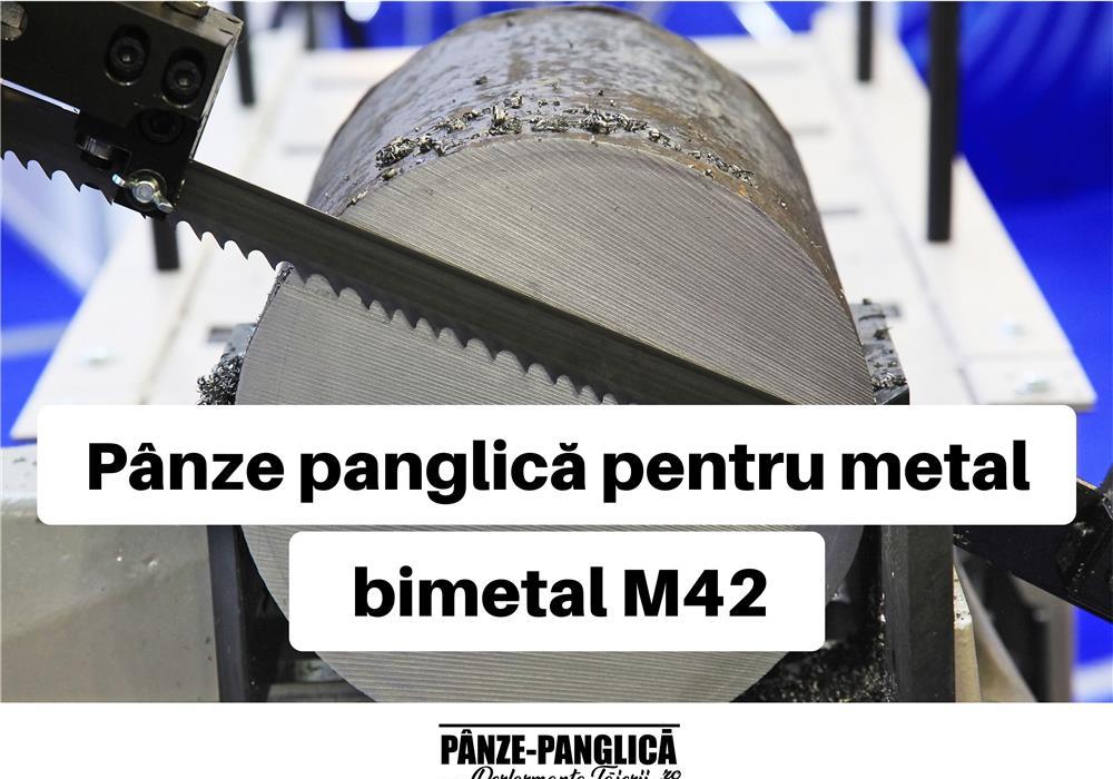Panza banzic metal 2395x13x8/12 MASTER, fierastrau cu banda