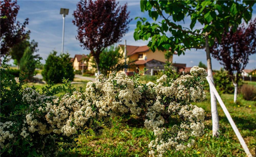 Parcele de teren in Via Carmina - Vladimirescu, Arad. De la 31.559 Euro