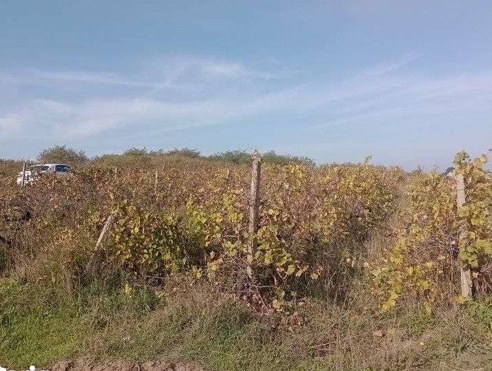 Parcele teren intravilan - vizavi de Primaria Tomesti