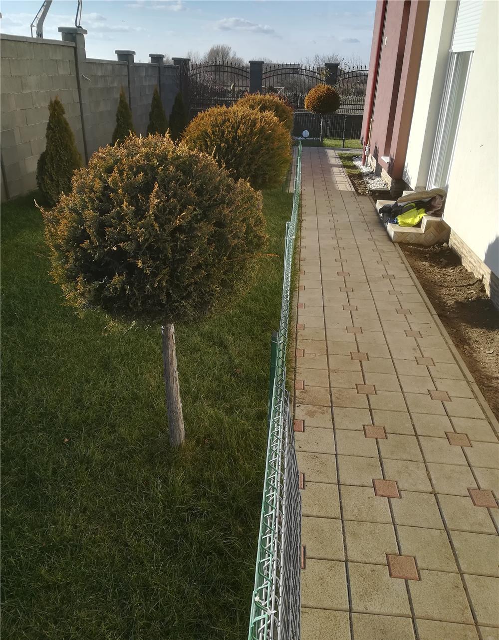 Pavaje Montaj Timisoara