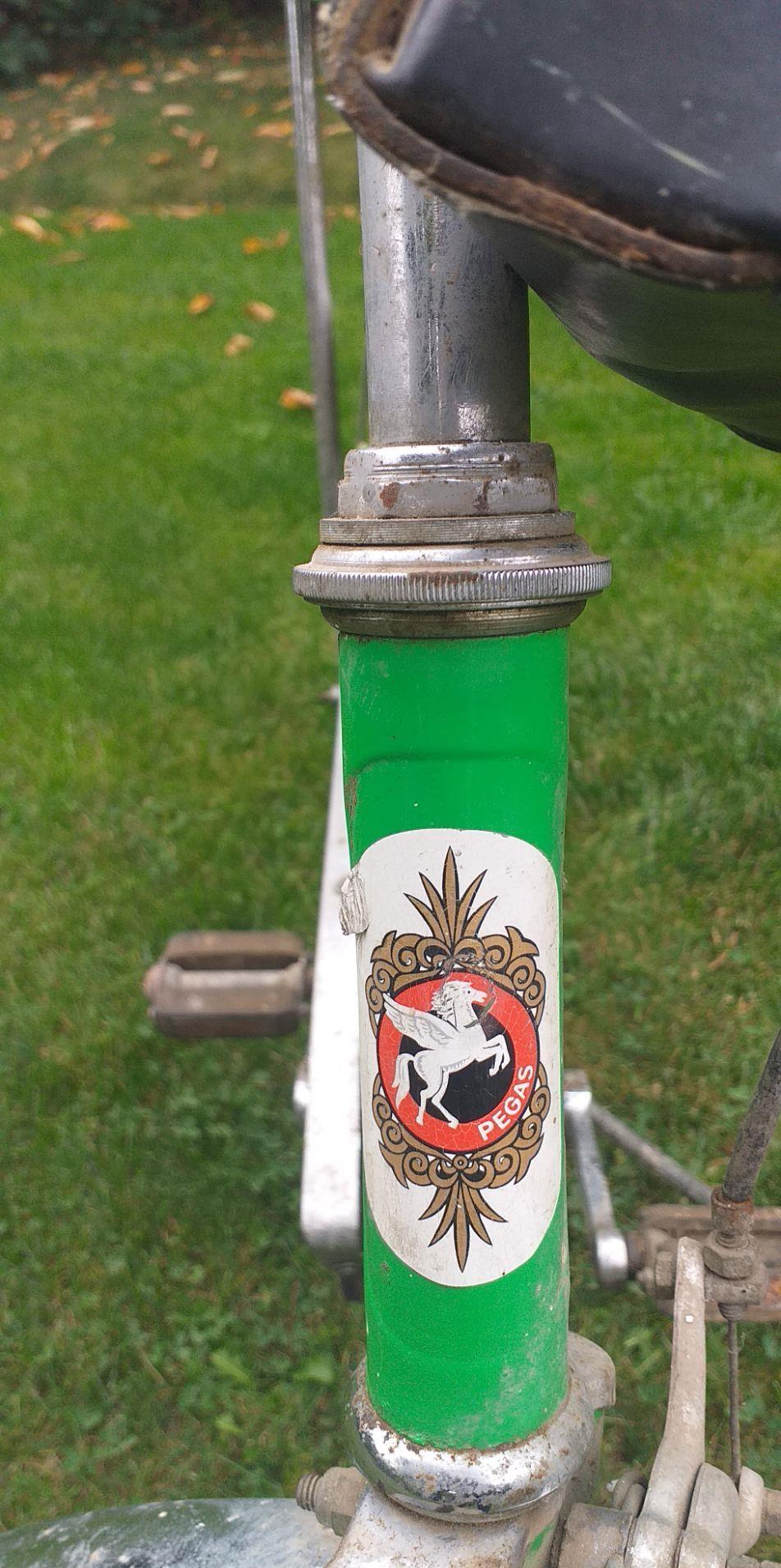 PEGAS an 1981