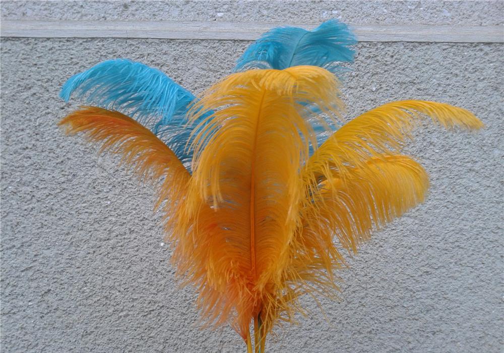 Pene de strut