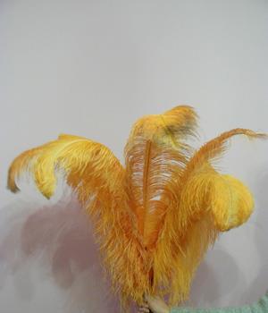 Pene de strut