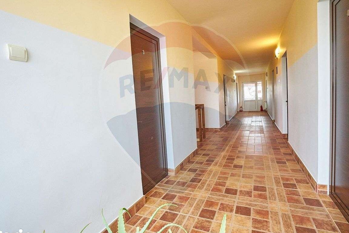 Pensiune Delta, 14 camere, afacere la cheie de vânzare