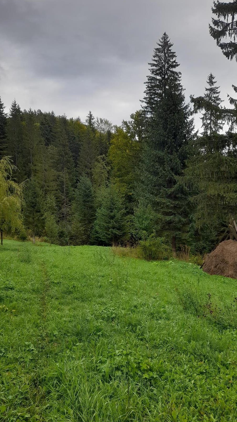 ,Pensiune in Nereju padure 200mp  demisol + parter si mansarda total 600 mp +anexa 2 camer75000E