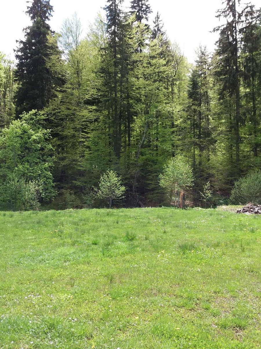 Pensiune turistica de vanzare