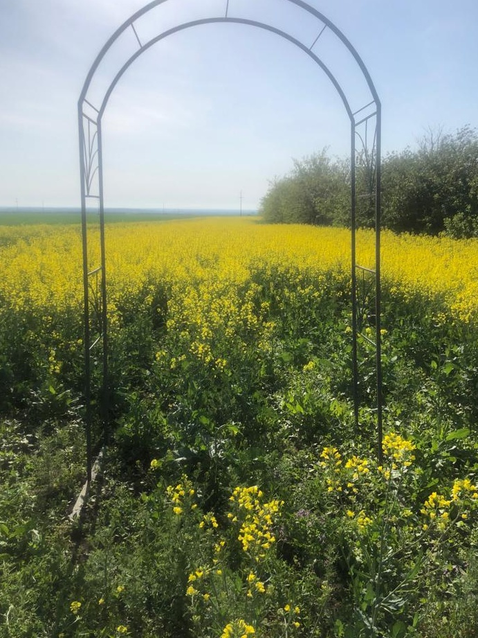Pergola flori 1,50x2,50m