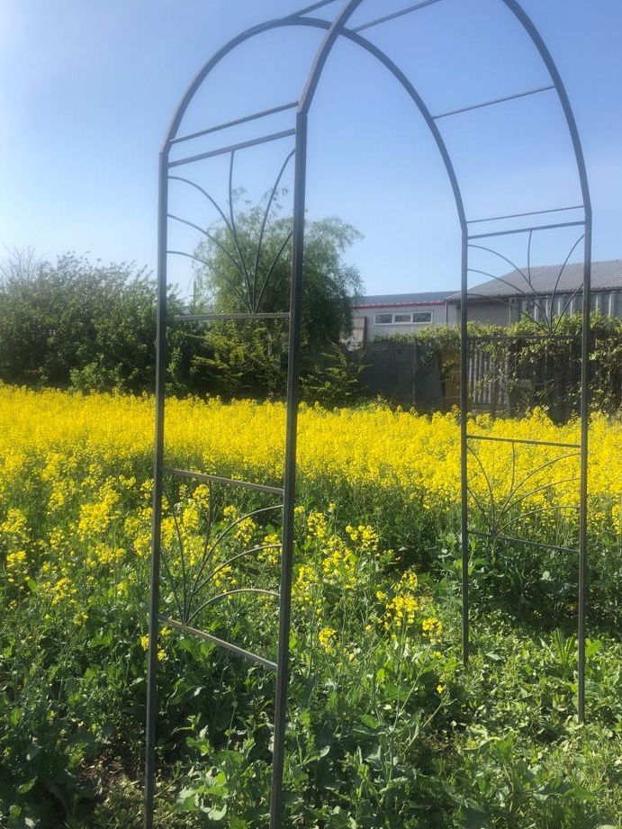 Pergola flori 1,50x2,50m