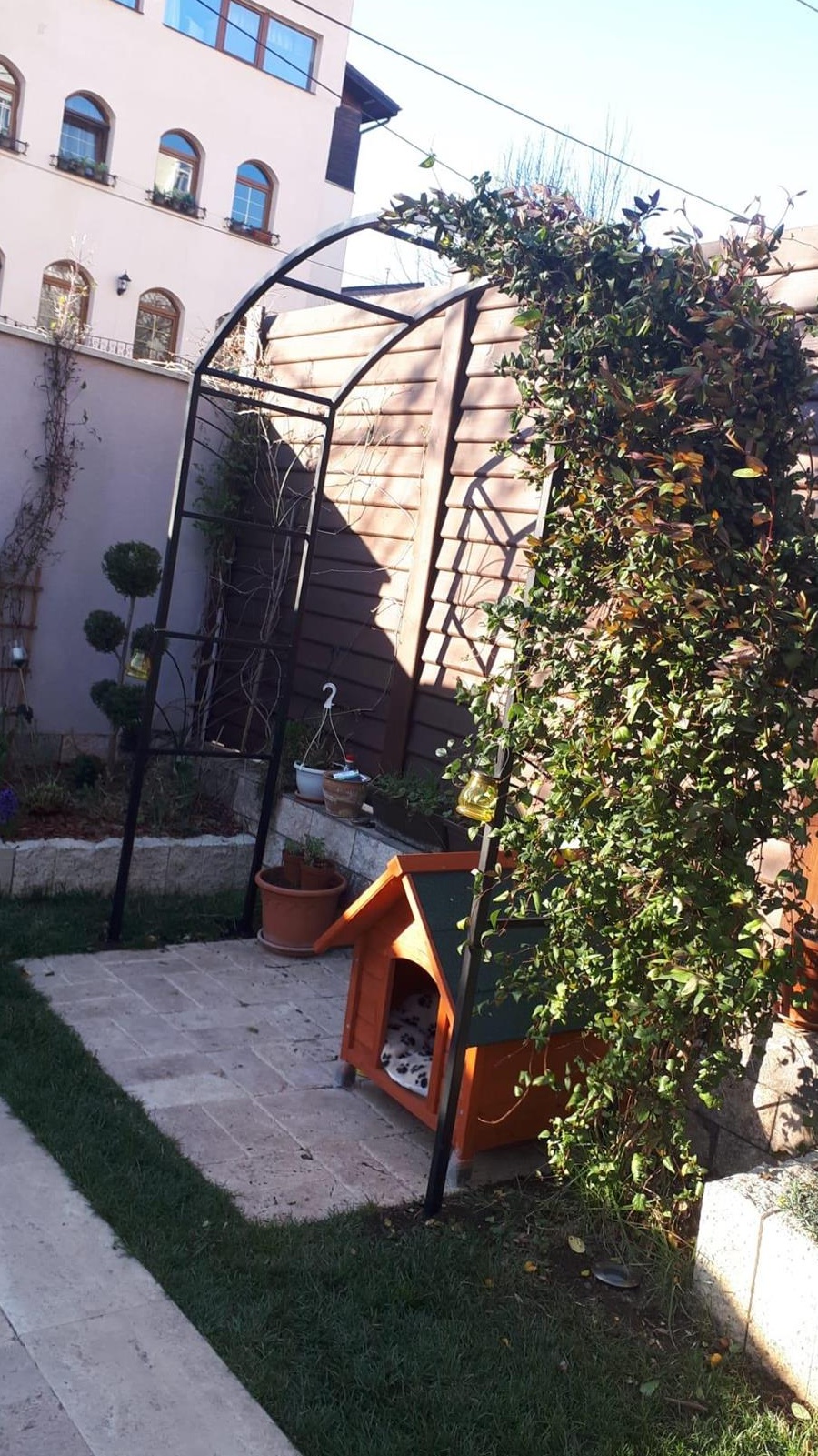 Pergola flori 1,50x2,50m