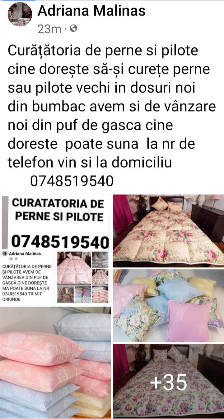 Perne si pilote