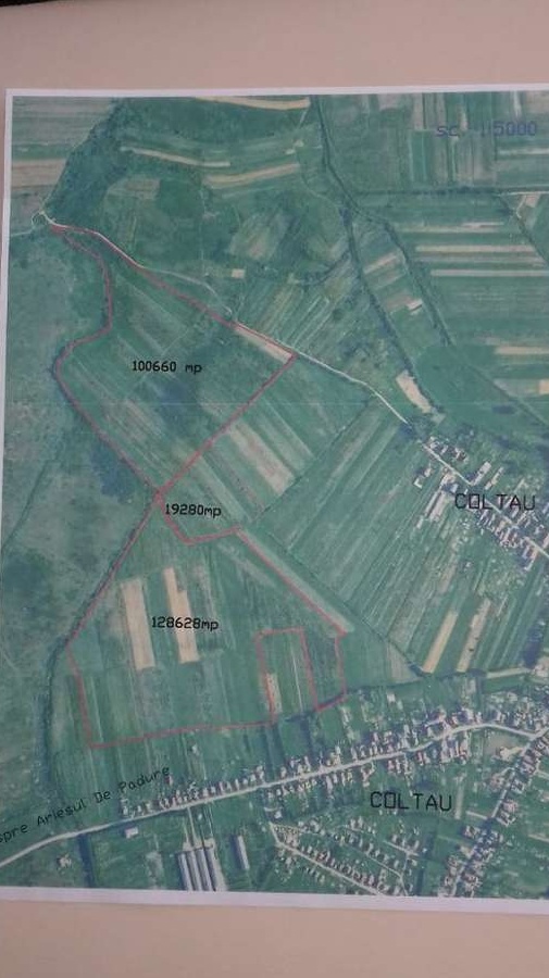 Persoana fizica vand teren, aproape de Baia Mare, 24,85 hectare Coltau