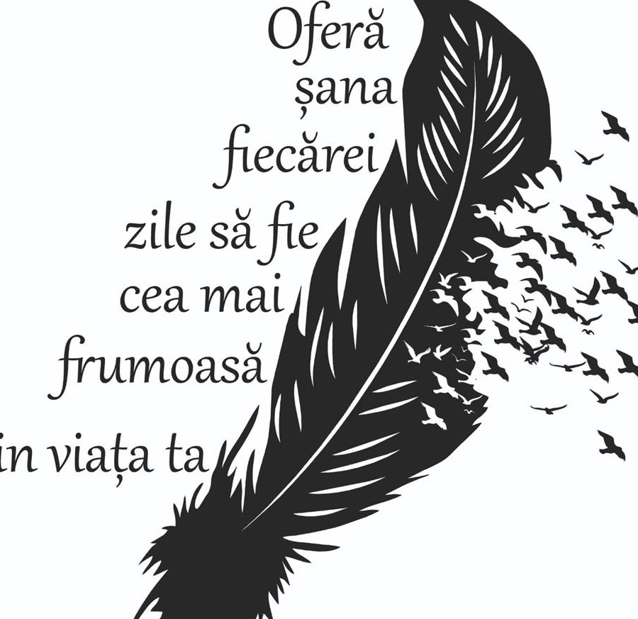 Personalizează ceea ce îți dorești. Stickere cutter, Stickere Auto