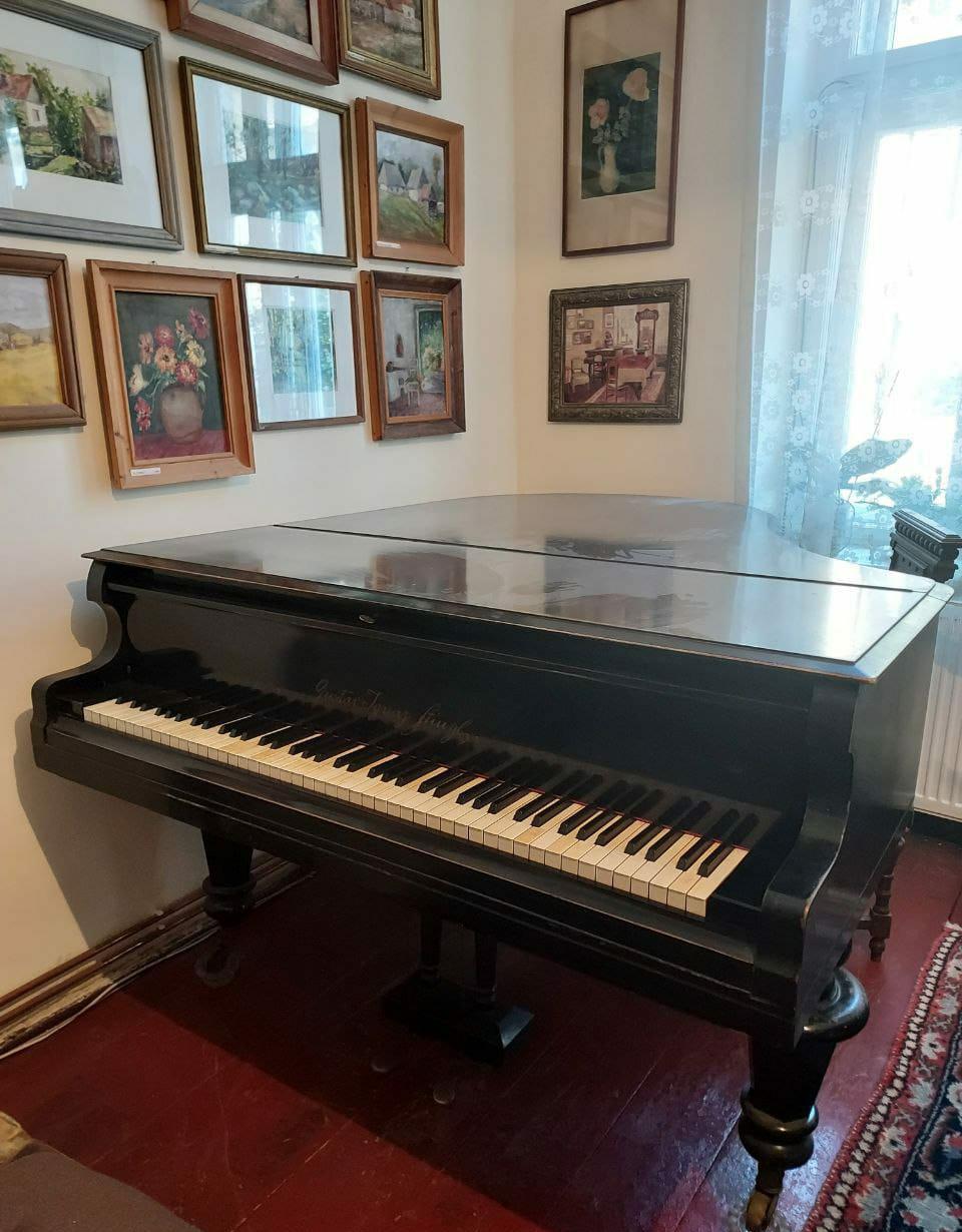 Pian Stingl de vanzare